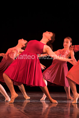 IMG_4566-01