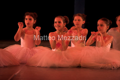 IMG_3986-01