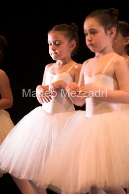 IMG_4021-01