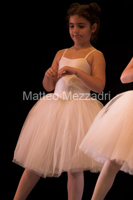 IMG_4023-01
