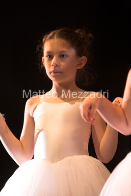IMG_4041-01
