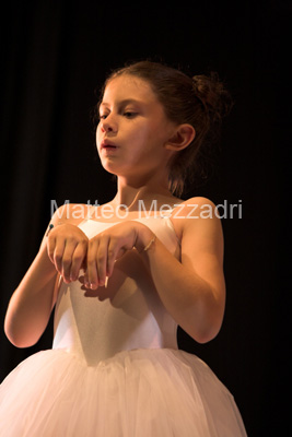 IMG_4042-01