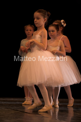 IMG_4056-01