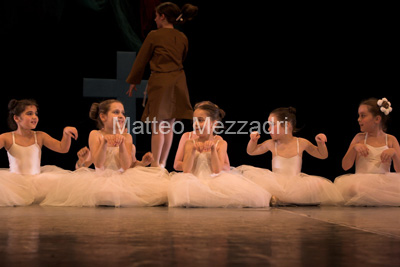 IMG_4951-01