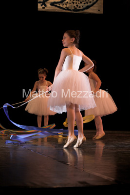IMG_4186-01