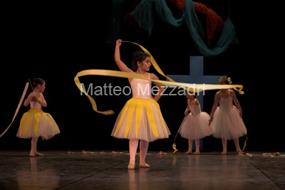 IMG_5041-01