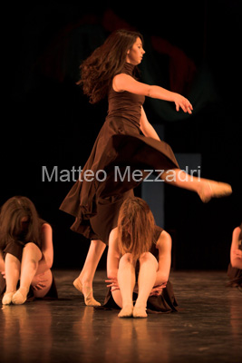 IMG_5331-01