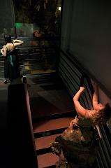 IMG_9376-01