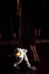 IMG_9480-01