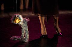 IMG_9481-01