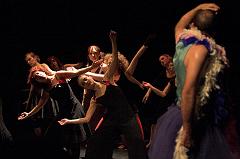 IMG_9531-01